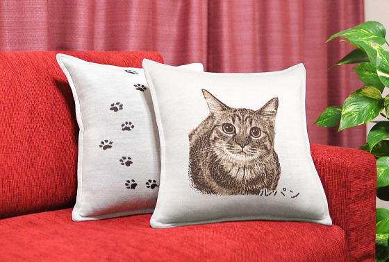 cat's cushion