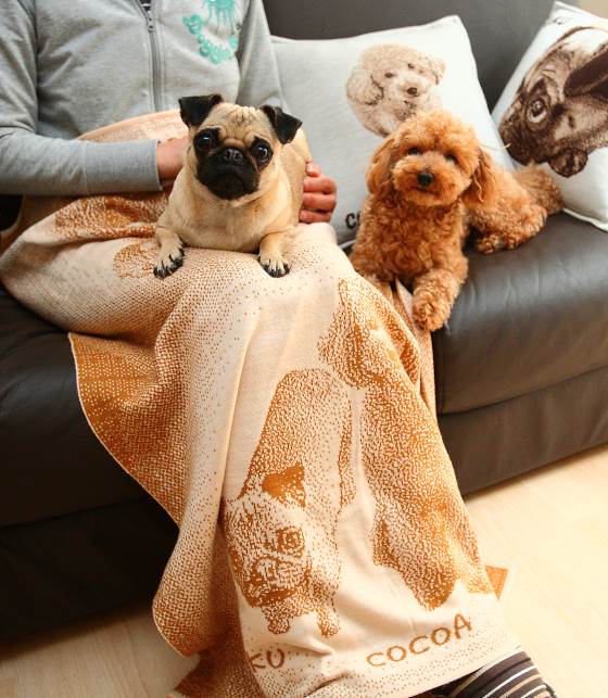 愛犬ひざ掛け