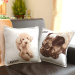 pet original cushion