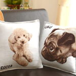 pet photo cushion