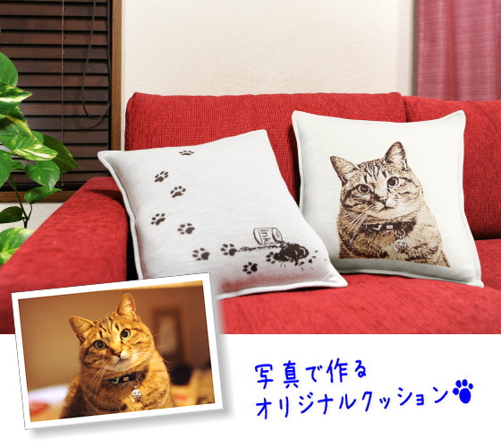 cat original cushion