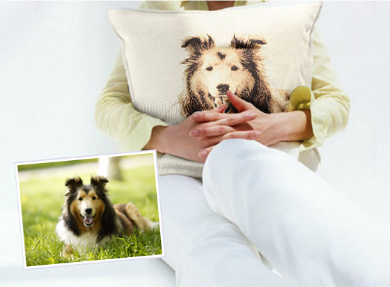 A sympathy gift when a pet dies