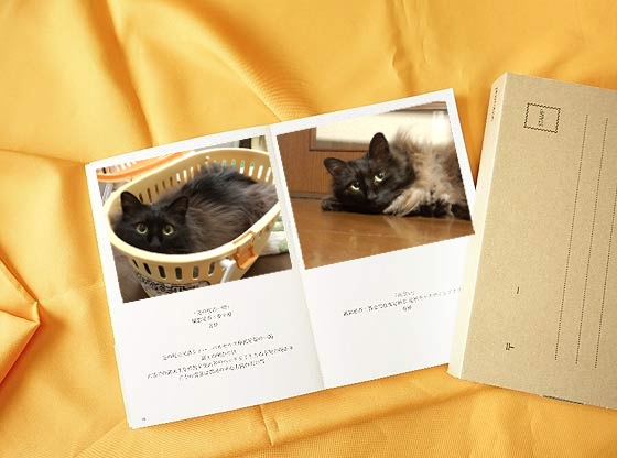 photo book for pet condolence gift