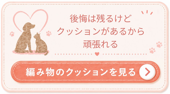 クッションの詳細
