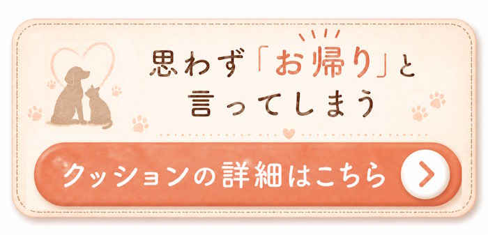 クッションの詳細