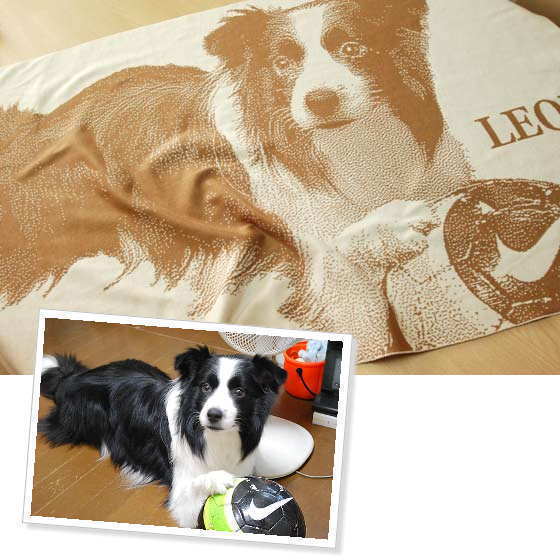 cotton throw pet mementos goods