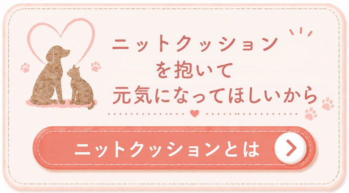 クッションを見る