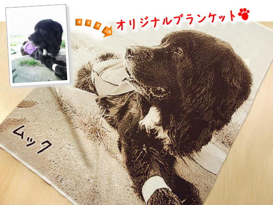 pet sympathy gift newfoundland dog