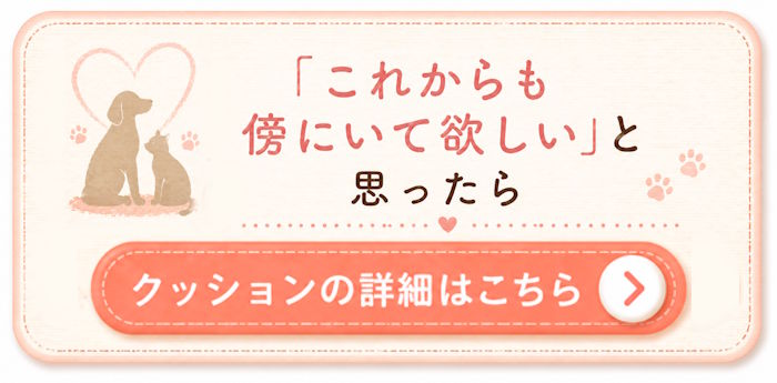 クッションの詳細