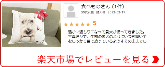 ペットが死んだ時の仕事の休み方 休暇を取る時の注意点 体験談 ペットが死んだ時の仕事の休み方 休暇を取る時の注意点 体験談