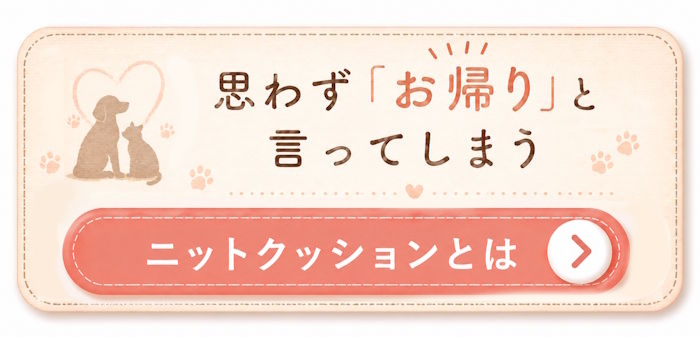 クッションを見る