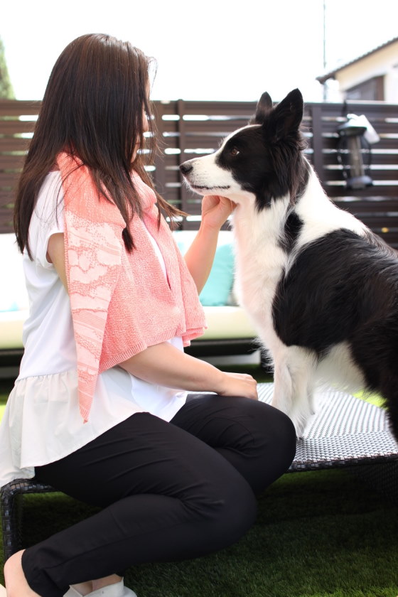 愛犬との信頼関係