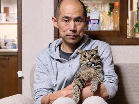 猫と僕