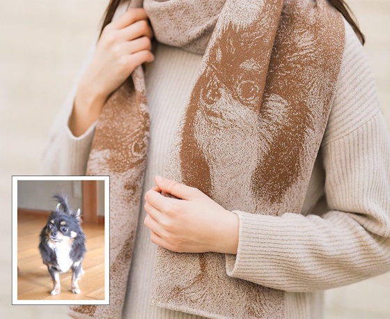 ペットオーダーストール