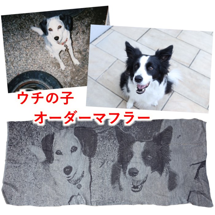 愛犬オリジナル