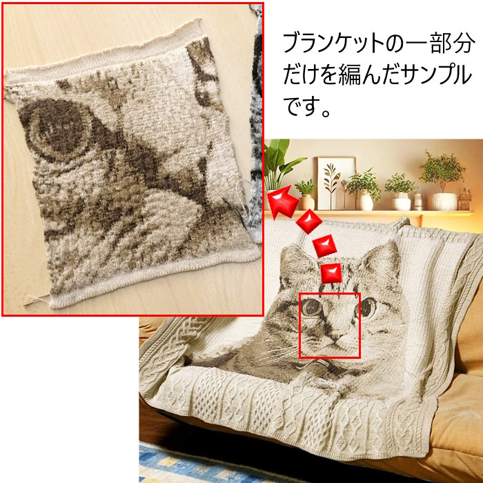 編地紹介