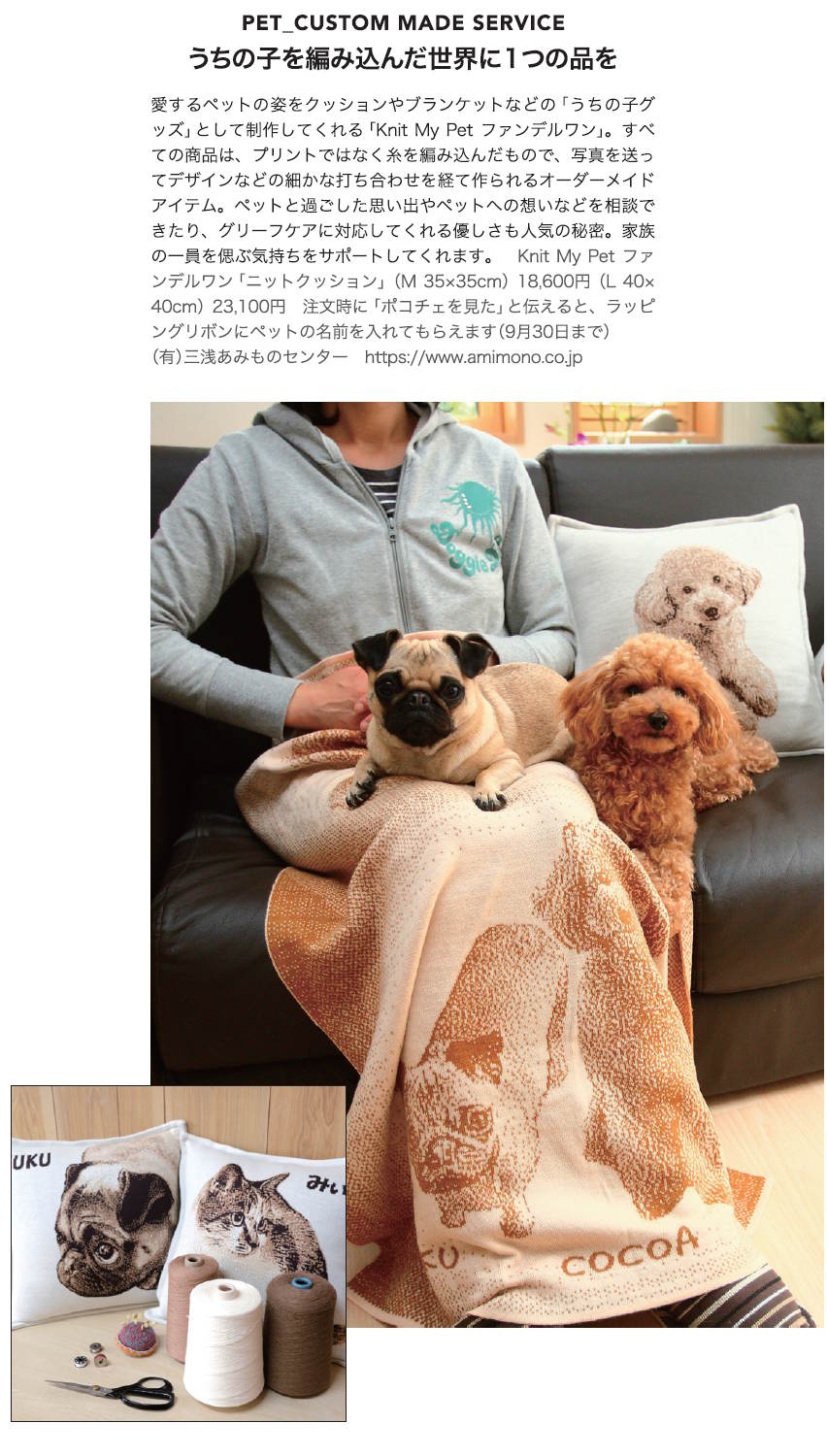 ポコチェの記事