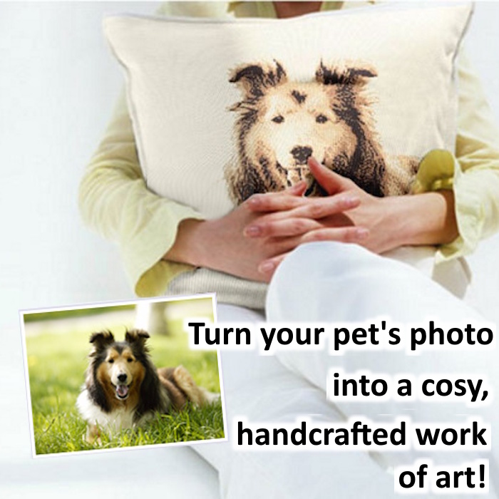 pet cushion