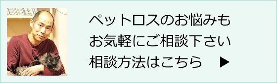 ペットロス相談