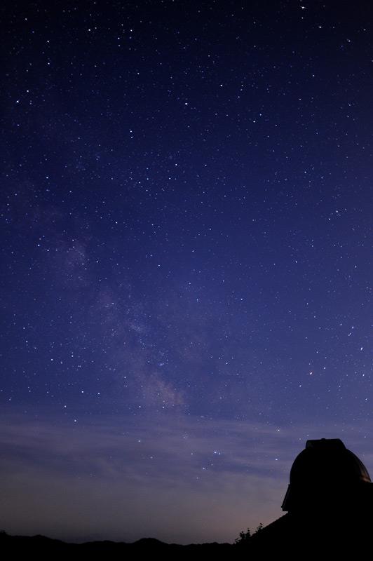 星になったペット達