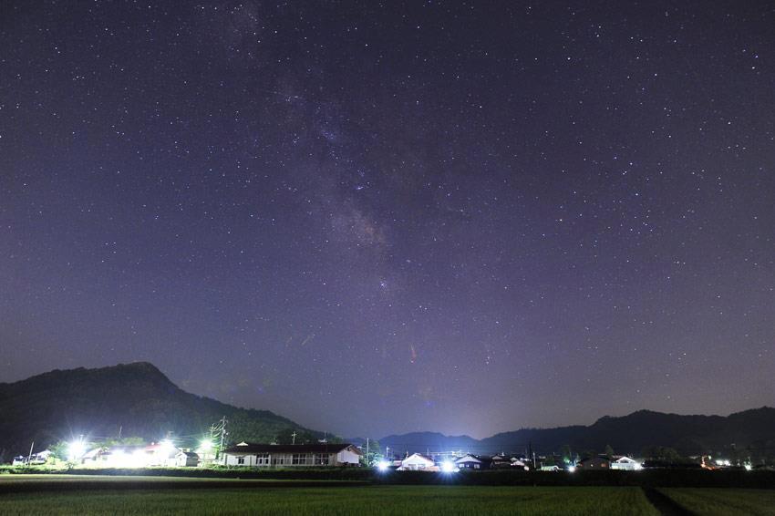 星になったペット達