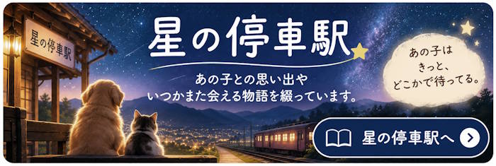 星の停車駅